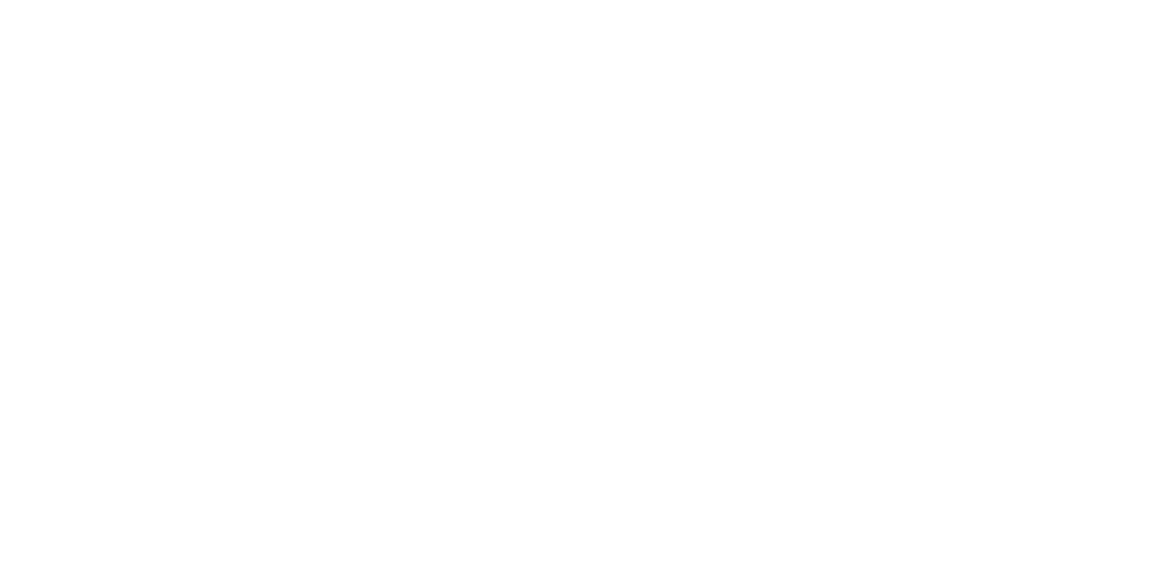 fifty1 Logo